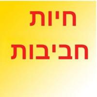 חיות חביבות