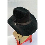 כובע המערב הפרוע'' 